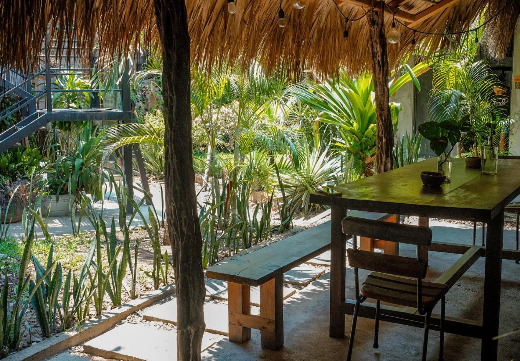 Puerto Dreams H Vandrerhjem Puerto Escondido  Eksteriør bilde